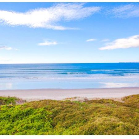 Cabbage Tree - Summer Or Winter Beachfront Haven 파파모아 외부 사진