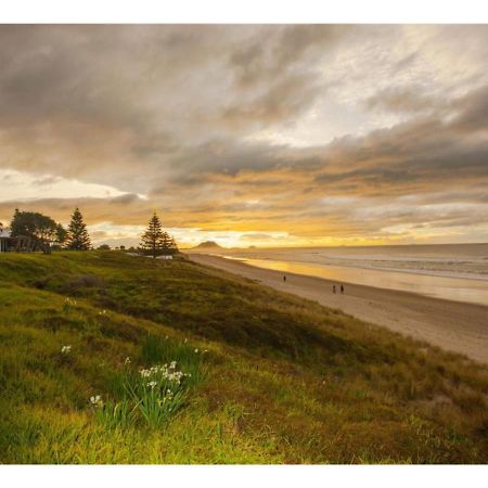 Cabbage Tree - Summer Or Winter Beachfront Haven 파파모아 외부 사진