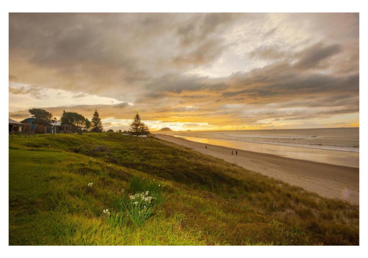 Cabbage Tree - Summer Or Winter Beachfront Haven 파파모아 외부 사진